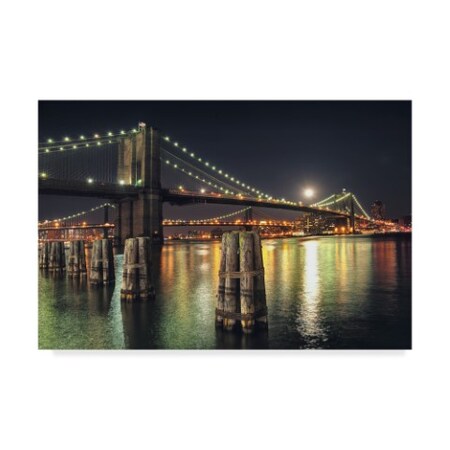 Natalie Mikaels 'Moon Over Brooklyn' Canvas Art,16x24